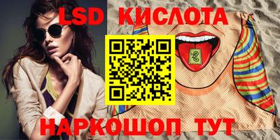 mdpv Бердск