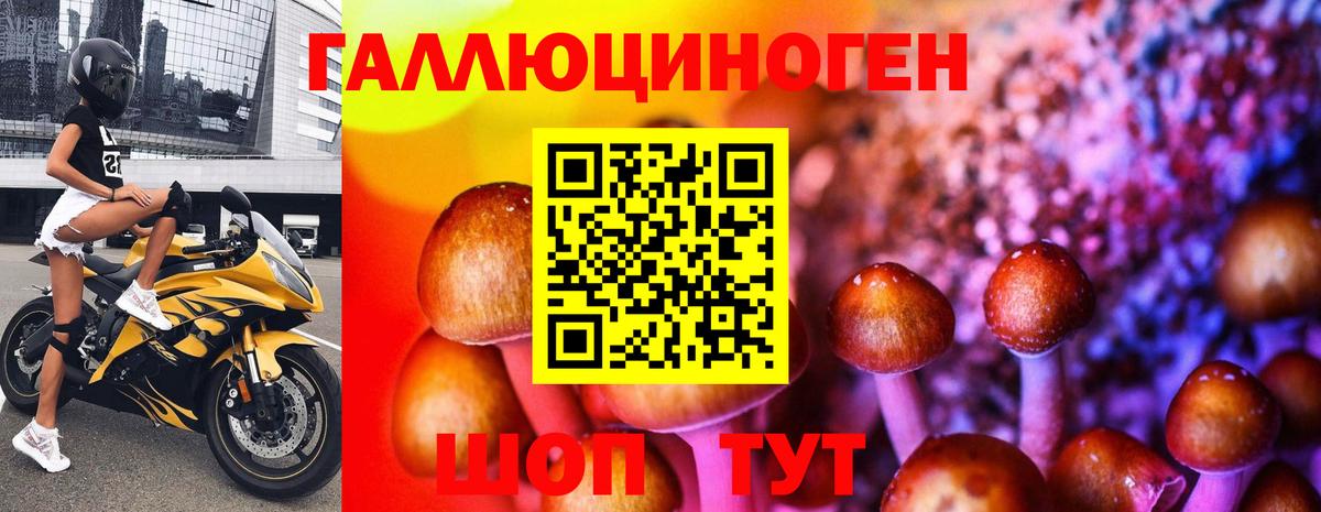 Ессентуки  Псилоцибиновые грибы Psilocybine cubensis  Вход с VPN  Галлюциногенные грибы Cubensis 