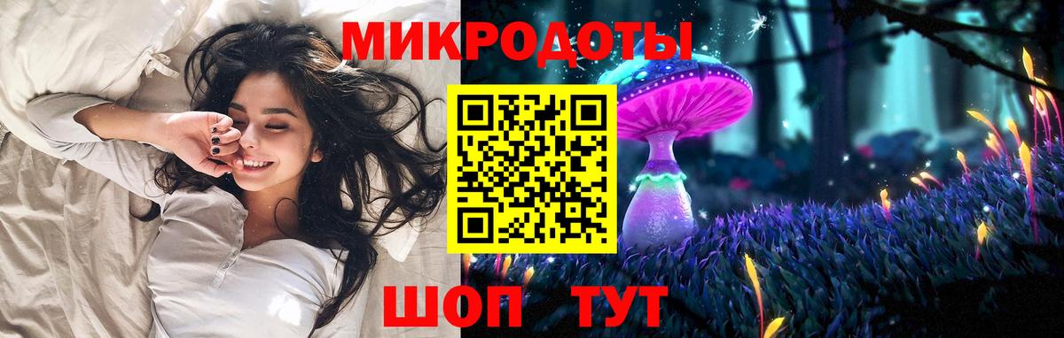 Галлюциногенные грибы Psilocybine cubensis Ессентуки